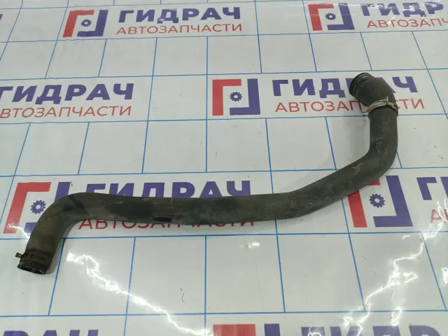 Патрубок радиатора Renault Megane 3 215012872R.
