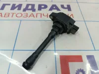 Катушка зажигания Renault Megane 3 224339277R.