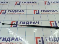 Амортизатор капота Renault Megane 3 654710003R.