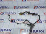 Проводка двери задней левой Renault Megane 3 241278420R.