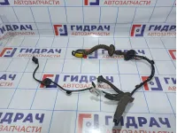 Проводка двери задней левой Renault Megane 3 241278420R.