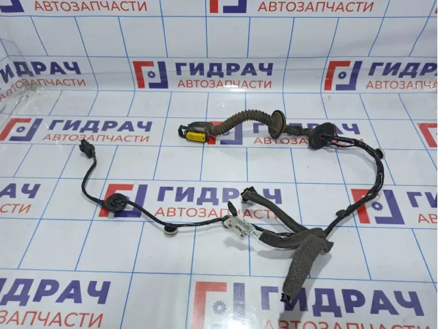 Проводка двери задней левой Renault Megane 3 241278420R.