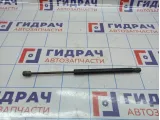 Амортизатор двери багажника Renault Megane 3 904510001R.