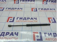Амортизатор двери багажника Renault Megane 3 904510001R.