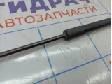 Амортизатор двери багажника Renault Megane 3 904510001R.