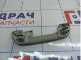 Ручка внутренняя потолочная Renault Megane 3 .