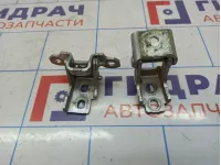 Петли двери задней левой Renault Megane 3 .