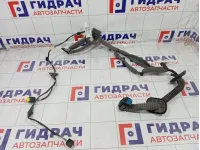 Проводка двери передней левой Renault Megane 241242754R