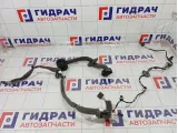 Проводка двери передней правой Renault Megane 241255443R