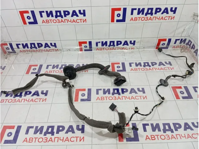 Проводка двери передней правой Renault Megane 241255443R
