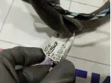 Проводка двери передней правой Renault Megane 241255443R