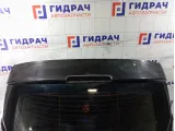 Дверь багажника Renault Megane 901006839R
