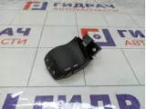 Блок кнопок управления магнитолой Renault Megane 255523796R