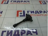 Катушка зажигания Renault Megane 224339807R