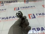 Форсунка инжекторная Renault Megane 166001KT0A