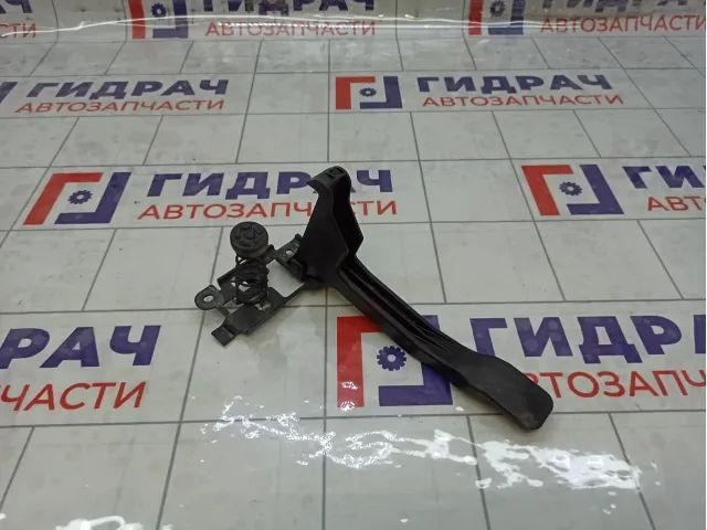 Крючок капота Renault Megane 656030006R