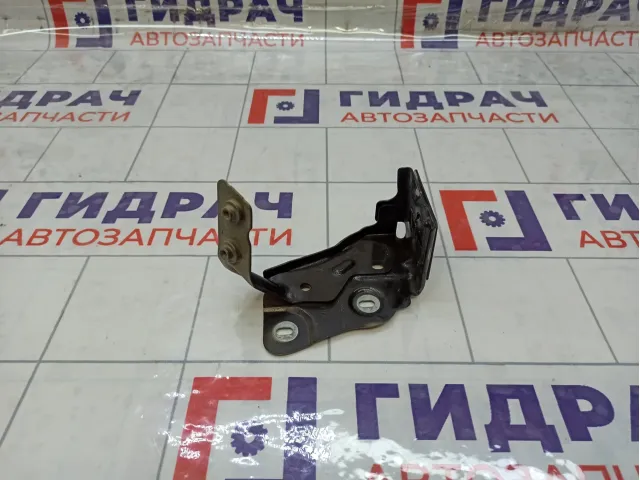 Кронштейн крепления крыла левый Renault Megane 625138842R