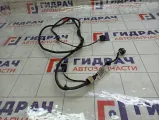 Проводка бампера переднего Renault Megane 240703241R