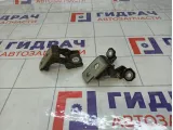 Петли двери задней правой Renault Megane