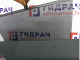 Обшивка двери задней левой Renault Megane 2 8200129246