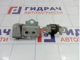 Петли двери задней правой Renault Megane 2