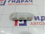 Плафон салонный Renault Megane 2 8200073234