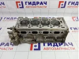 Головка блока Renault Megane 2 7701474361