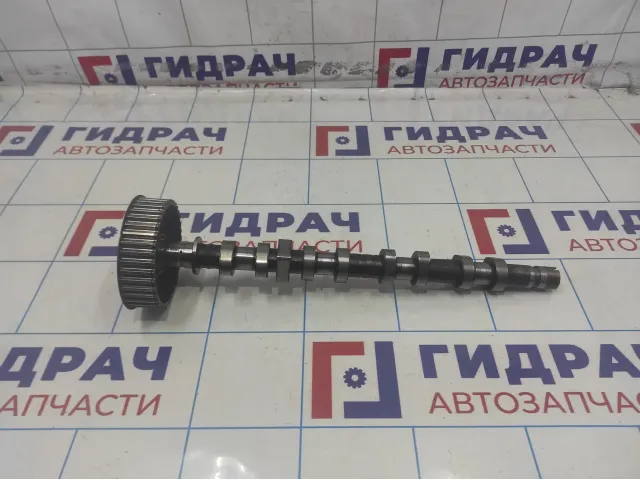 Распредвал выпускной Renault Megane 2 130206522R