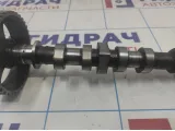 Распредвал выпускной Renault Megane 2 130206522R
