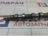 Распредвал выпускной Renault Megane 2 130206522R