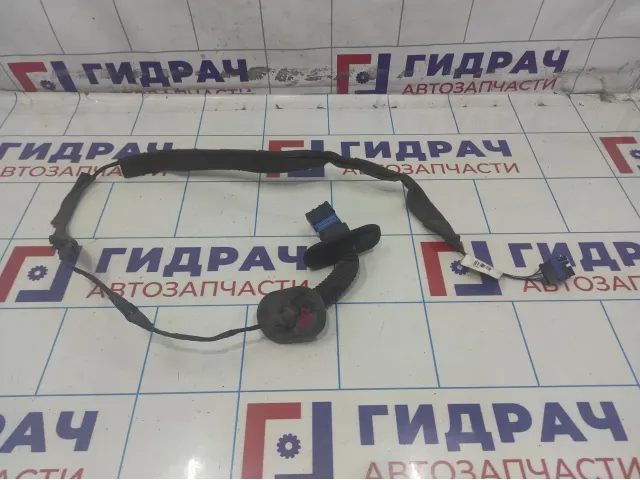 Проводка двери задняя Renault Megane 2 8200217368