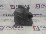 Корпус воздушного фильтра Renault Megane 2 8200176558