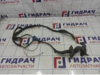 Проводка двери передняя левая Renault Megane 2 8200279621