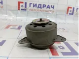 Моторчик вентилятора радиатора Renault Megane 2 7701071862
