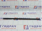 Уплотнитель стекла двери задней левой Renault Megane 2 7701475952