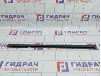 Уплотнитель стекла двери задней левой Renault Megane 2 7701475952