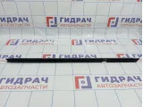 Уплотнитель стекла двери задней левой Renault Megane 2 7701475952