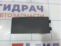 Накладка декоративная на консоль Renault Megane 2 8200079101