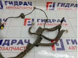 Проводка двери передней левой Renault Megane 3 241244246R