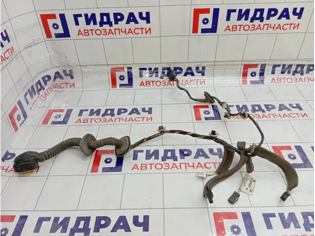 Проводка двери задней правой Renault Megane 3 241267947R