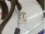 Проводка двери задней правой Renault Megane 3 241267947R