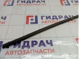Накладка стекла переднего левого Renault Megane 3 808210179R