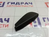Накладка двери задней правой Renault Megane 3 833300012R