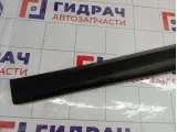 Накладка двери передней левой Renault Megane 3 808770010R