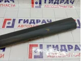 Накладка двери передней левой Renault Megane 3 808770010R