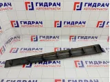 Накладка двери передней левой Renault Megane 3 808770010R
