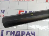 Накладка двери передней правой Renault Megane 3 801860015R