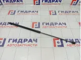 Амортизатор капота Renault Megane 3 654710003R