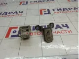 Петли двери передней правой Renault Megane 3