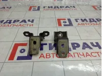 Петли двери задней правой Renault Megane 3